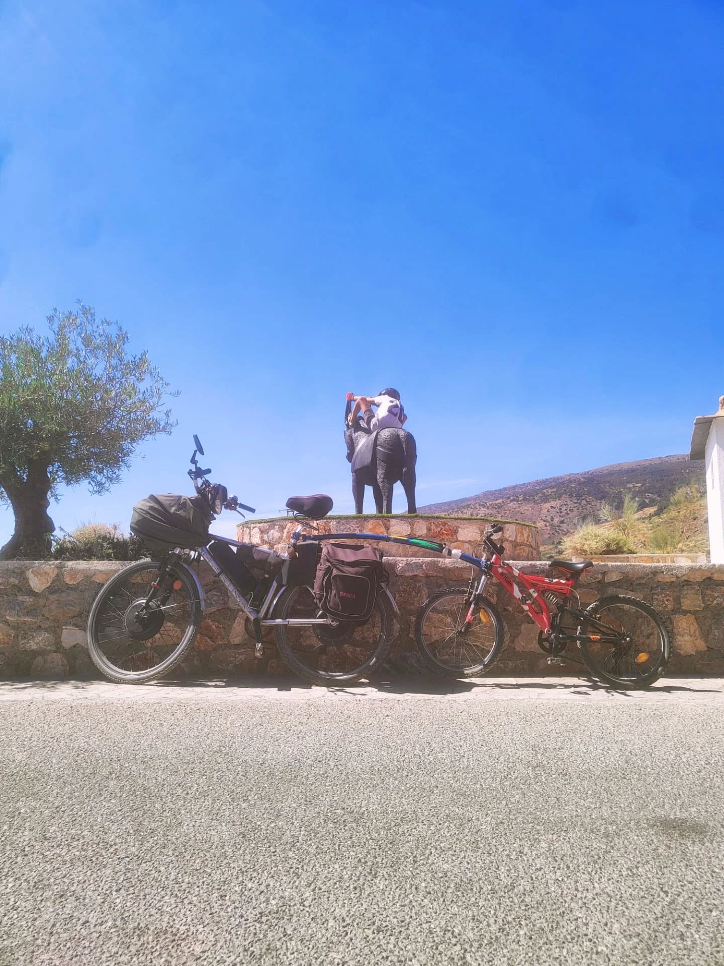 Tandem with donkey