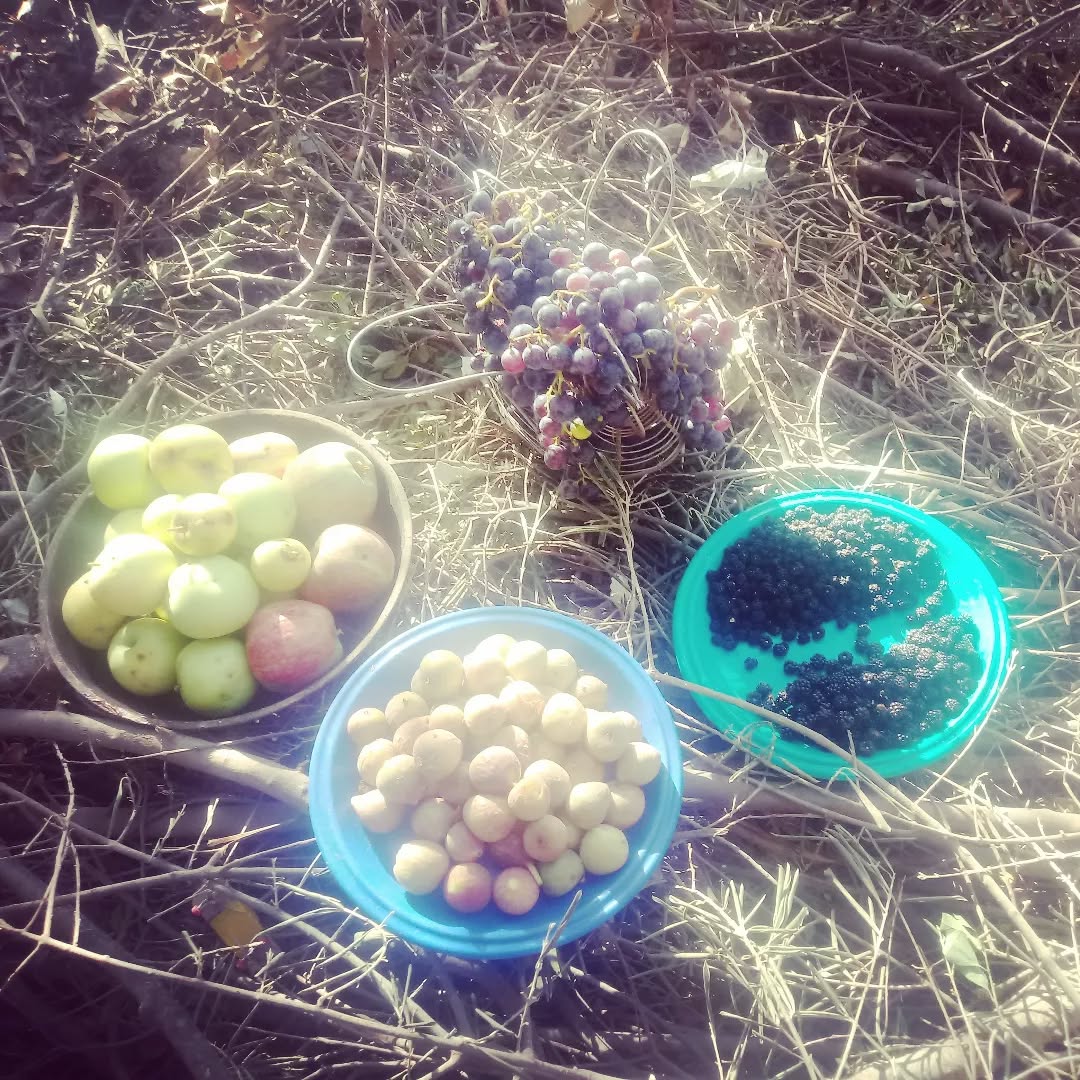 🙏🌞🌍