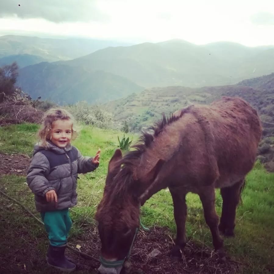2018, Yun e Maurizio