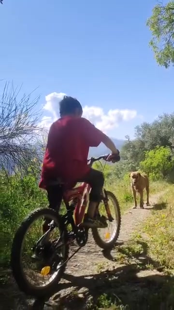 Loba, move over!