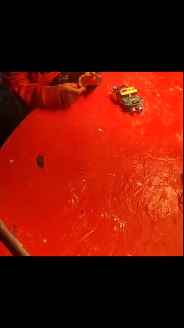 Ultrasonic robotic bug 🪳