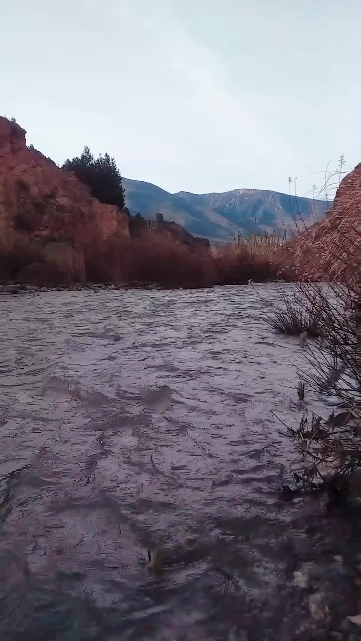 King Swamp