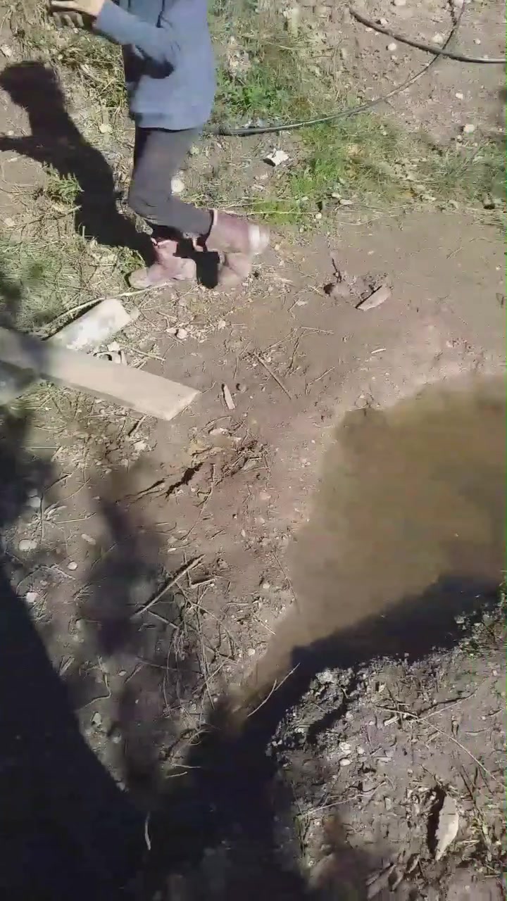 My catapult