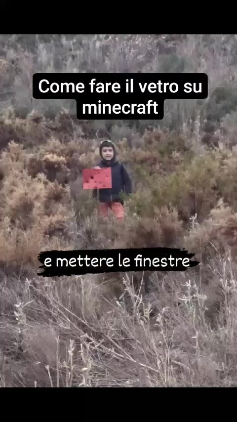 Un mensaje para la abuela 👵