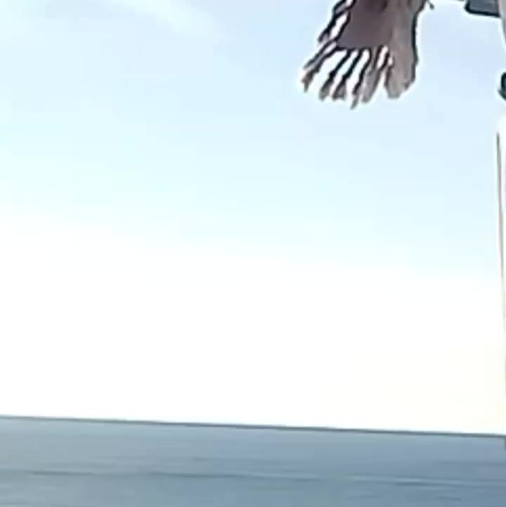 Hace un año exacto, en la cueva del tabaco