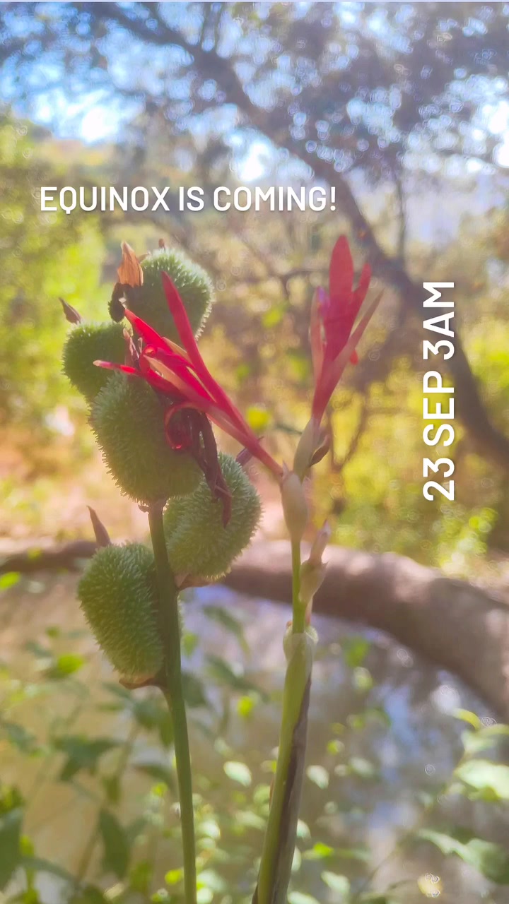 Equinox is coming! 23 sep 3am